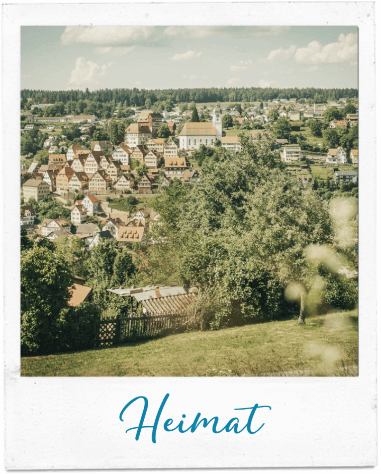 Ausblick auf eine Stadt im Nordschwarzwald.
